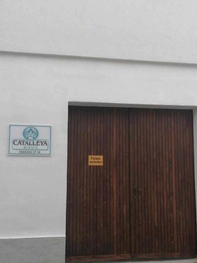 Catalleya Haus Langenlois Esterno foto