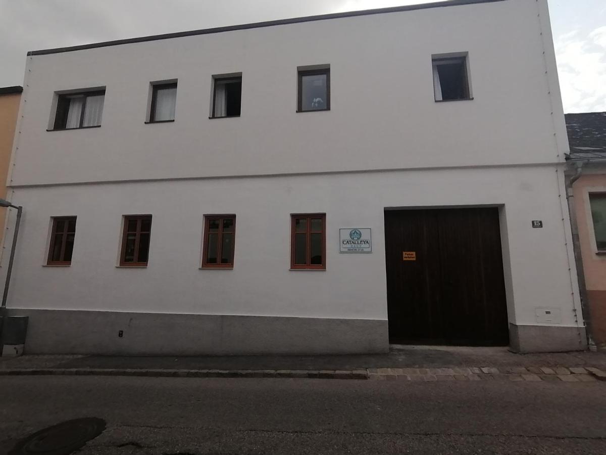 Catalleya Haus Langenlois Esterno foto