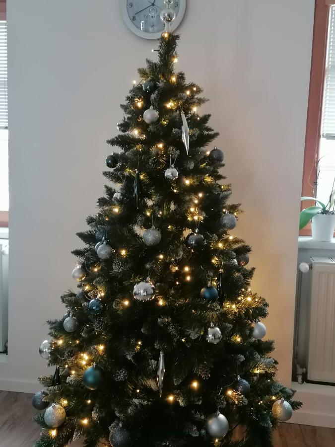 Catalleya Haus Langenlois Esterno foto